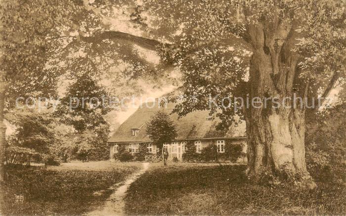 Bispingen Pfarrhaus mit 500jaehriger Linde