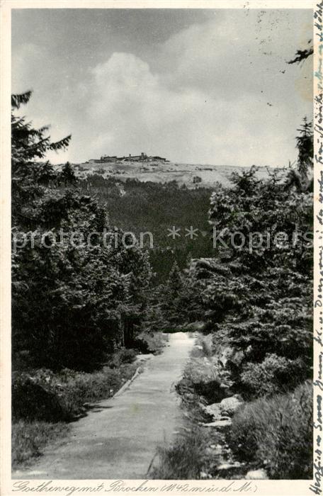 Brocken Harz Blick vom Goetheweg zum Brocken