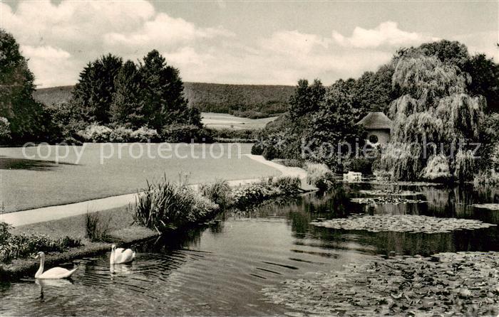 Bad Pyrmont Malerwinkel Schwanenteich