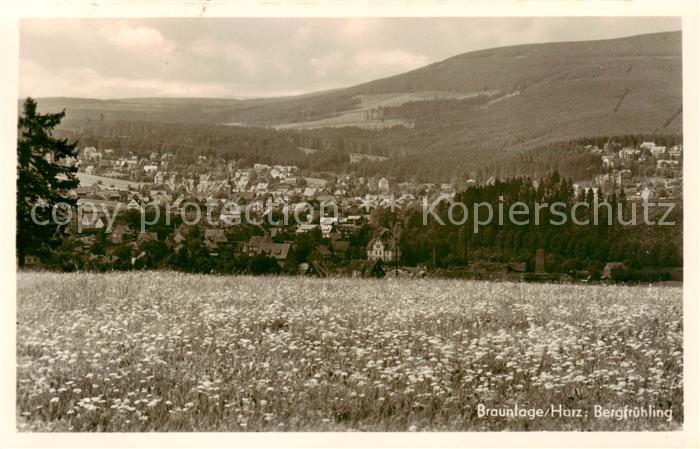 Braunlage Harz Panorama Bergfruehling