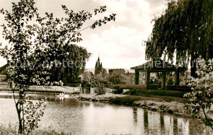 Eschwege Am Schwanenteich