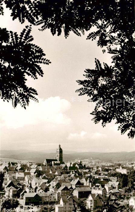Bad Wildungen Panorama