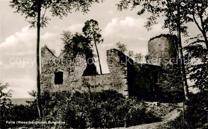 Polle Oberweser Burgruine