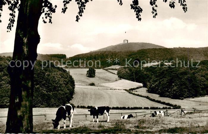 Rischenau Luegde Berghotel und Gaststaette Koeterberg