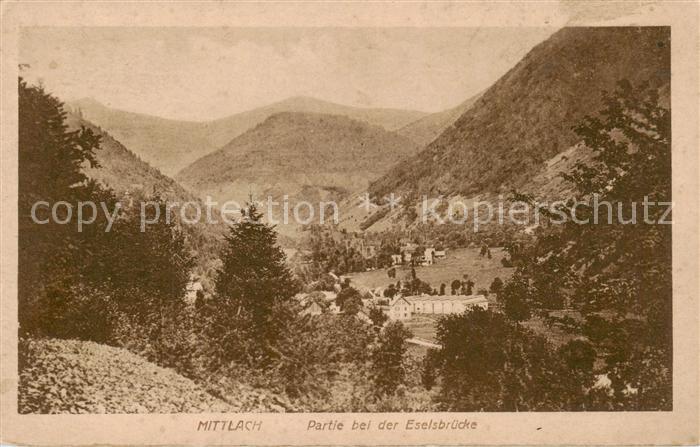 Mittlach 68 Alsace Partie bei der Eselsbruecke