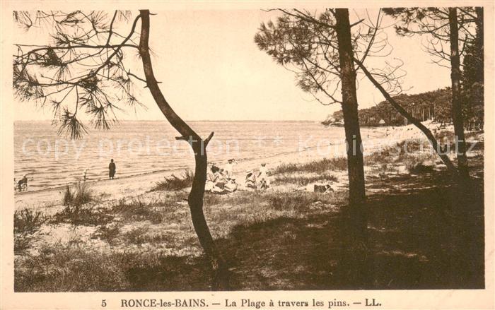Ronce-les-Bains 17 Charente-Maritime La Plage a travers les pins