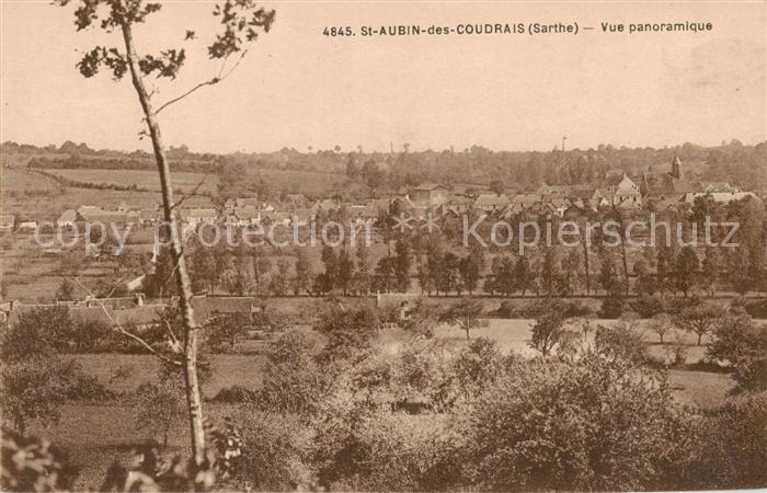 St-Aubin-des-Coudrais Vue panoramique