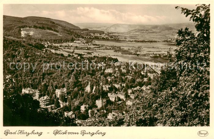 Bad Harzburg Panorama Blick vom Burgberg