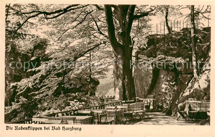 Bad Harzburg Waldhaus Rabenklippen Terrasse Serie Aus deutschen Landen