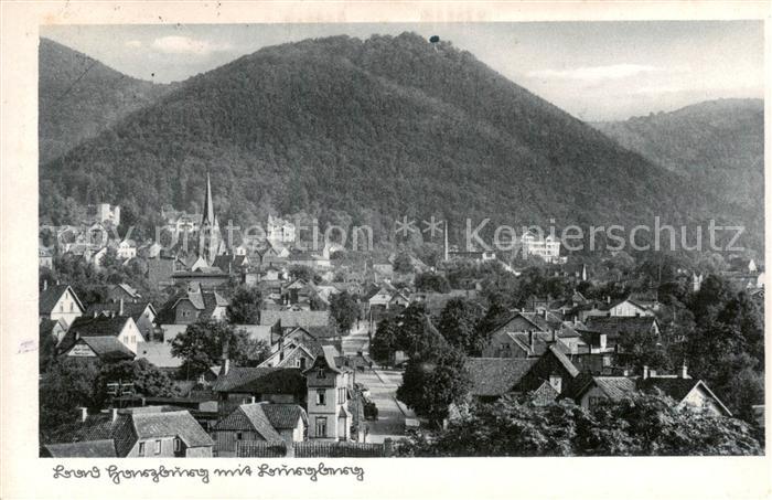 Bad Harzburg mit Burgberg