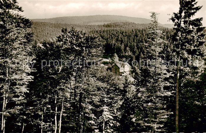 Hohegeiss Harz Panorama Blick ueber die Waelder Hoehenluftkurort
