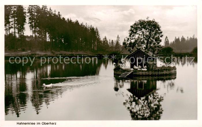 Hahnenklee-Bockswiese Harz Partie am Wasser