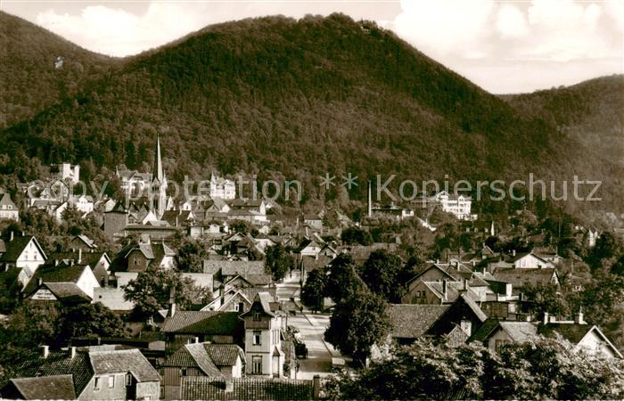 Bad Harzburg Stadtbild mit Burgberg