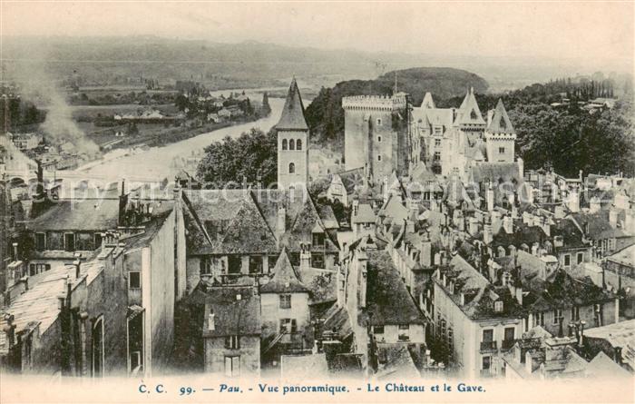 Pau 64 Vue panoramique Le Chateau et le Gave
