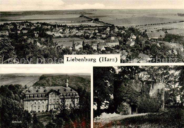 Liebenburg Panorama Schloss Alter Turm