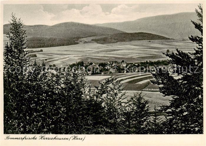 Harriehausen Bad Gandersheim Panorama Sommerfrische