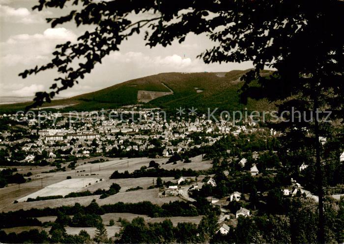 Bad Harzburg Panorama Blick vom Waldrand aus