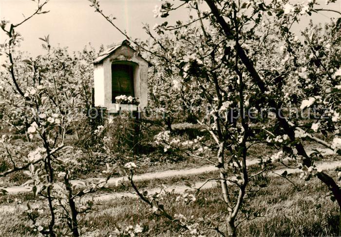Nonnenhorn Bildstoeckle im Obstgarten