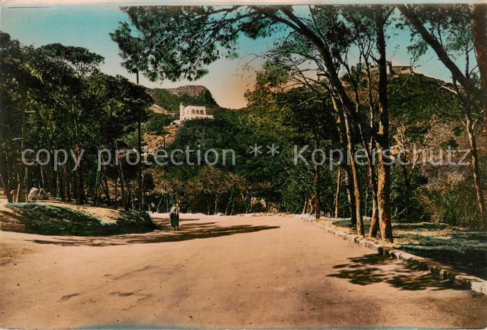 Oran Algerie Le Belvedere et Promenade des Planteurs