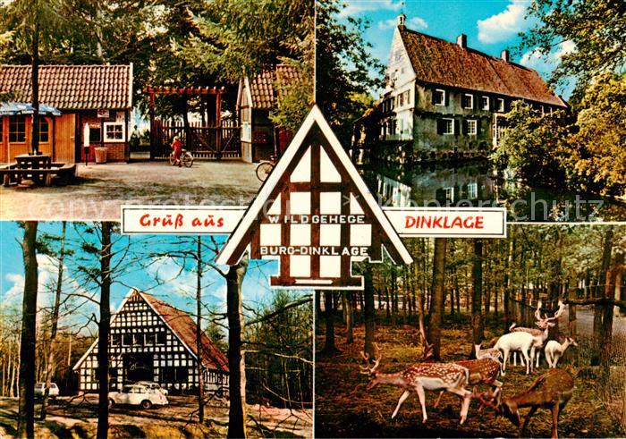 Dinklage Wildgehege Burg Dinklage