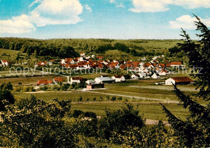 Fleinheim Panorama