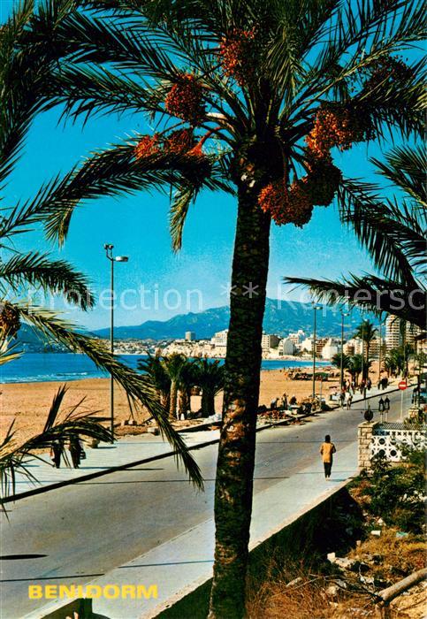 Benidorm ES Promenade