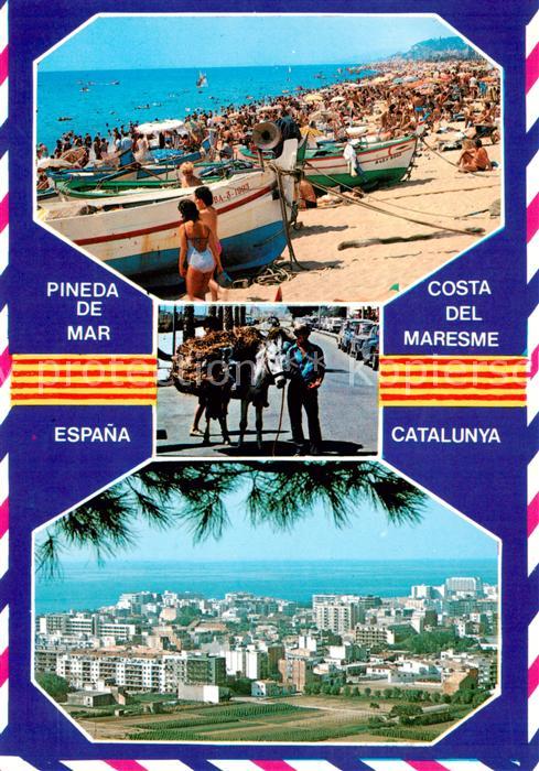 Pineda de Mar ES Strandpartie Eseltreiber Panorama
