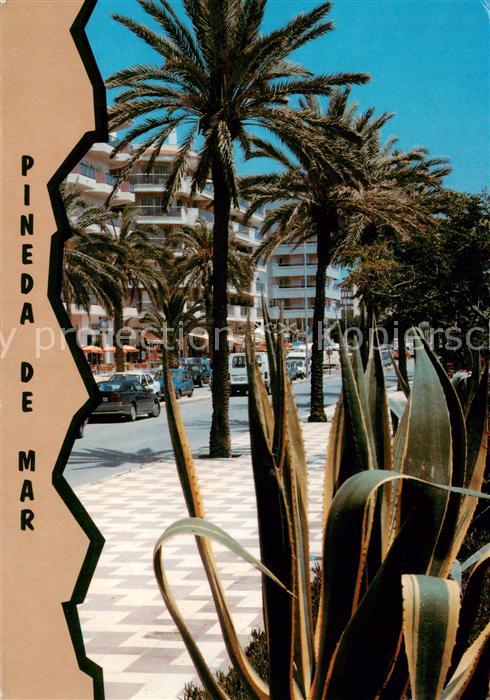 Pineda de Mar ES Motiv