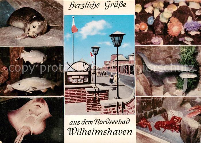 Wilhelmshaven  CITY Seewasseraquarium