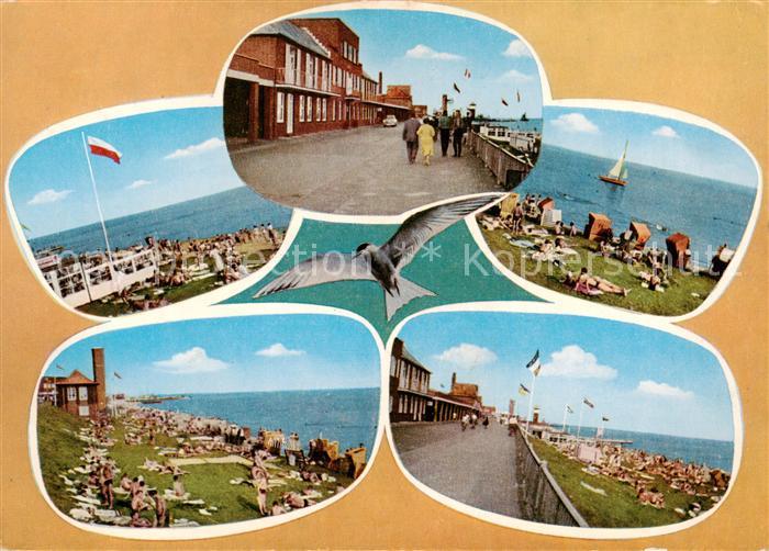 Wilhelmshaven  CITY Suedstrand Promenade Moewe