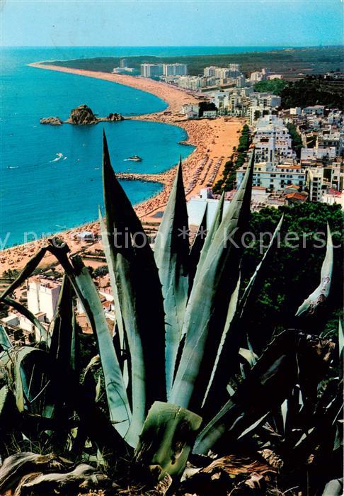 Blanes Costa Brava ES Kuestenpanorama