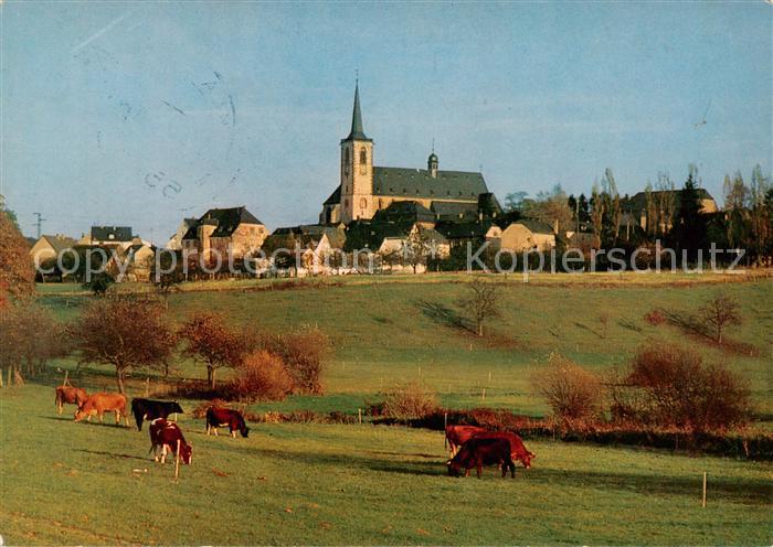 Klausen Mosel Wallfahrtsort Ansicht mit Kirche Viehweide