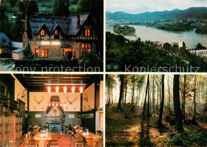 Rolandseck Wald und Wildpark Rolandseck Gaststaette Rheinpartie