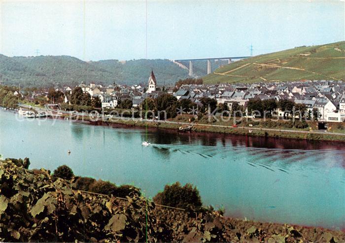 Winningen Mosel Moselpartie mit Moseltalbruecke