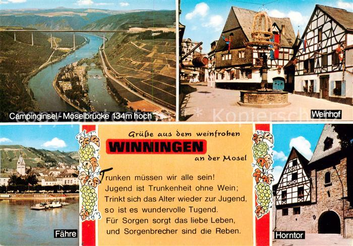 Winningen Mosel Campinginsel Moseltalbruecke Weinhof Faehre Horntor
