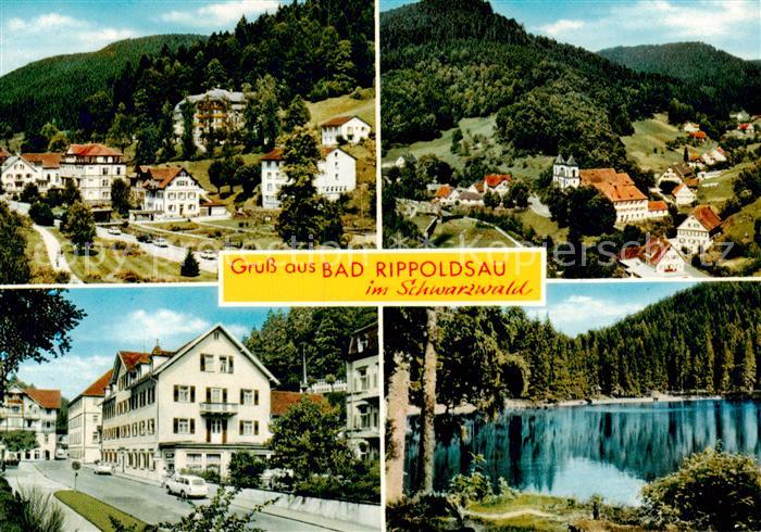 Bad Rippoldsau Schwarzwald Panorama Hauptstrasse Seepartie
