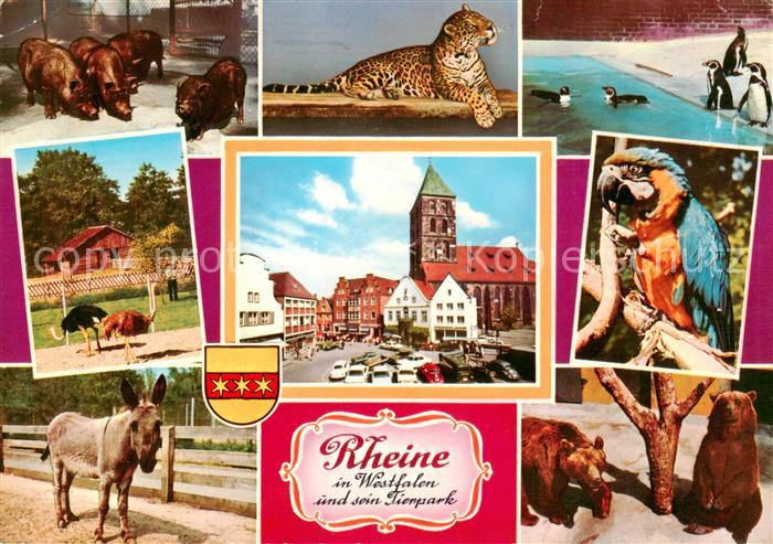 Rheine Tierpark Details Marktplatz Rathaus