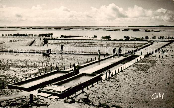 Aiguillon Le Parc a Huitres de la Pergola