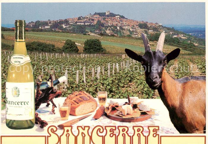 Sancerre 18 Cher Vue panoramique