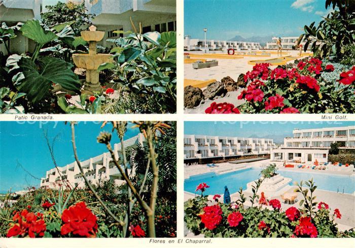 Tenerife Islas Canarias Spanien ES Flores en El Chaparral
