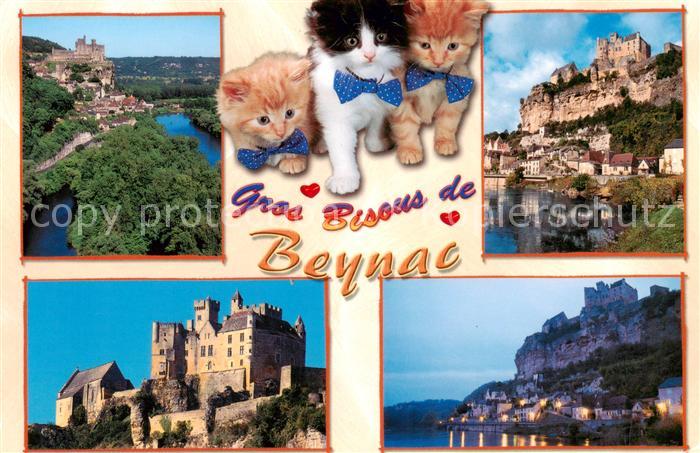 Beynac-et-Cazenac 24 Le chateau de Beynac Village medieval