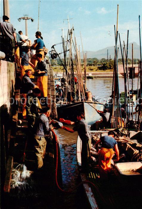 Saint-Jean-de-Luz Retour de la Peche Debarquement du than