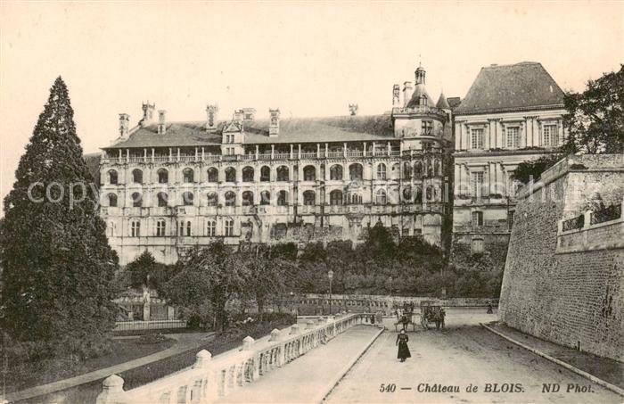 Blois 41 Chateau de Blois