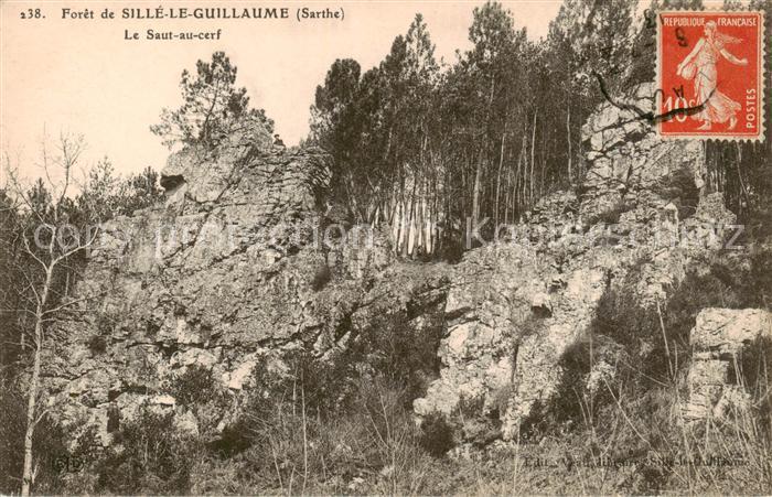 Sille-le-Guillaume 72 Sarthe Foret Le Saut au cerf