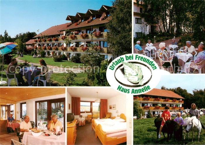 Preussisch-Oldendorf Pension Haus Annelie Gaststube Zimmer Gartenterrasse Ponyre