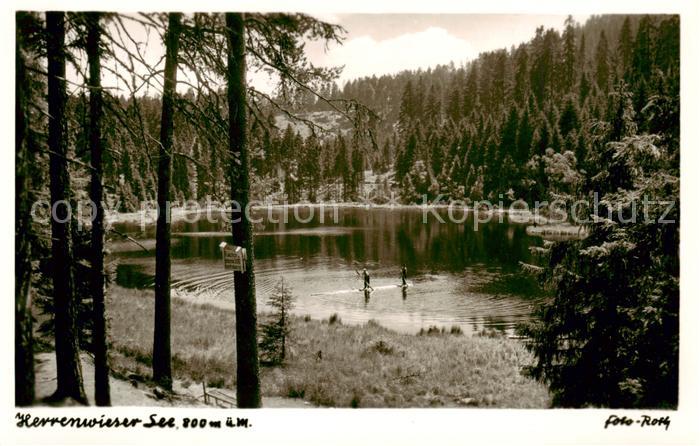 Herrenwies Forbach Herrenwieser See