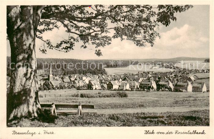 Braunlage Harz Blick von der Rosentalbank