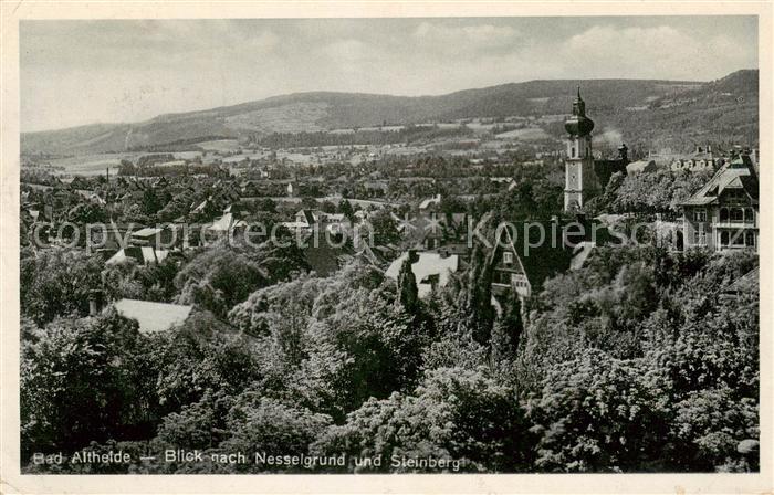 Bad Altheide Polanica-Zdrój Blick nach Nesselgrund und Steinberg