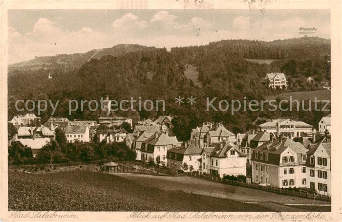 Bad Salzbrunn Szczawno-Zdroj PL Panorama von der Prinzenhoehe
