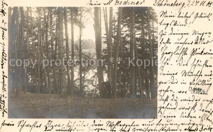 Schoeneberg  Berlin a.

Waldpartie